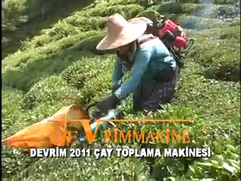 devrim çay toplama makinesi 29-07-2011-01