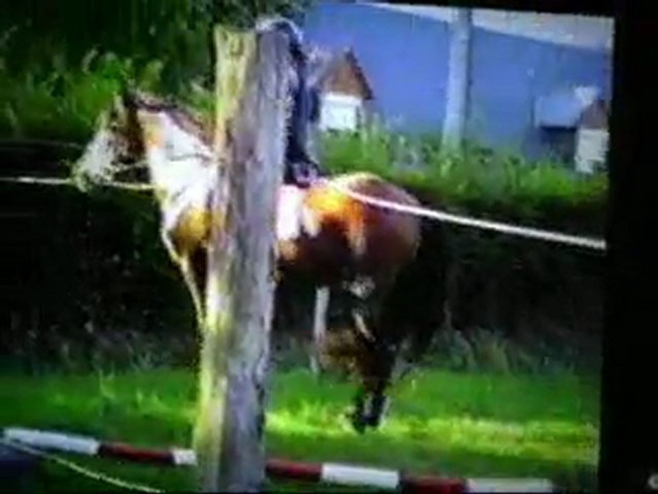 Brasiliana 29juillet 2011