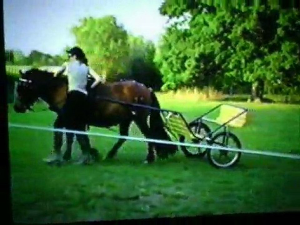 Tornado 1e mise à la voiture