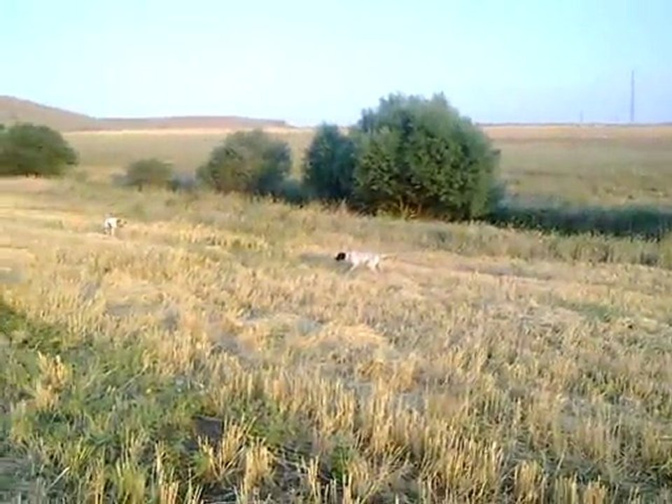 31072011074