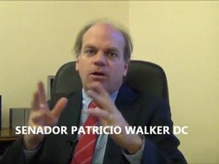 SENADOR PATRICIO WALKER DC