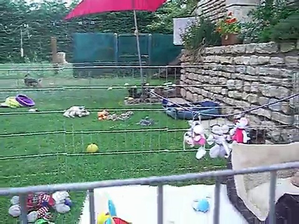 Après-midi du 1er Août 2011