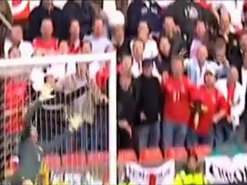 David Beckham tribute