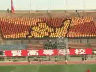 0380 - Ecran humain géant dans un stade de foot