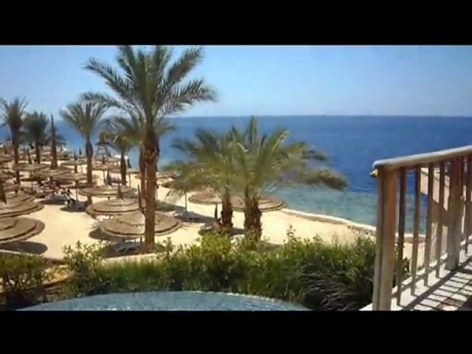 Reef Oasis Blue Bay