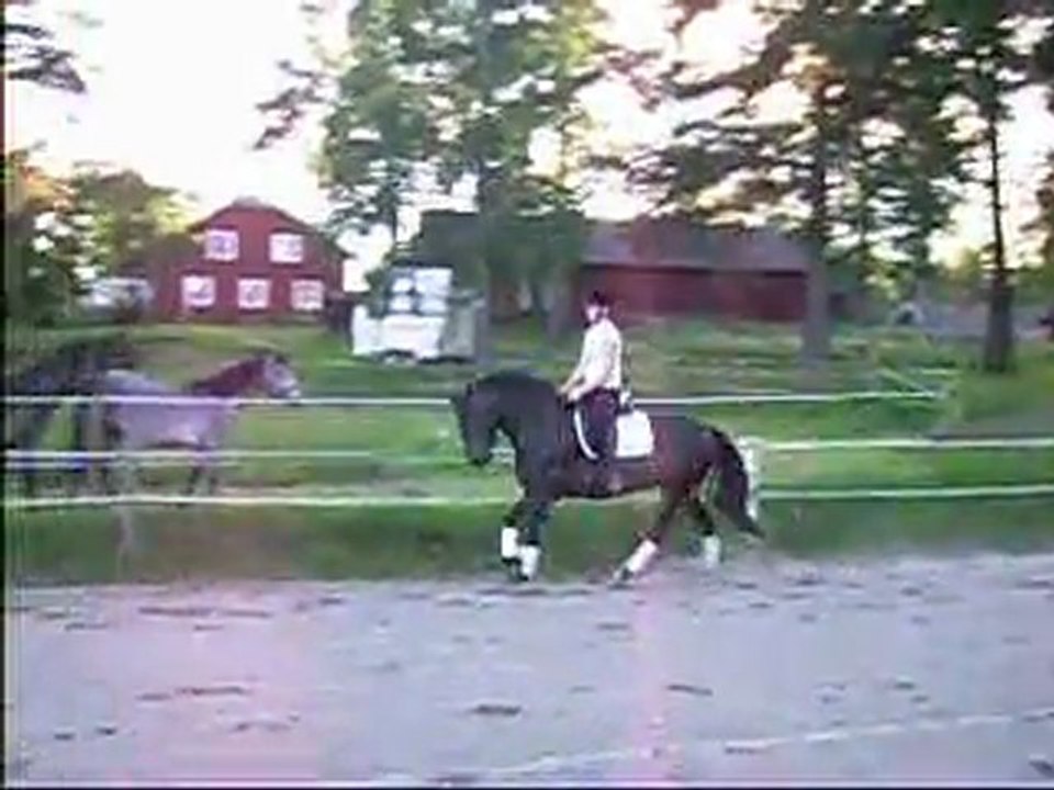 Delight16juli (7)