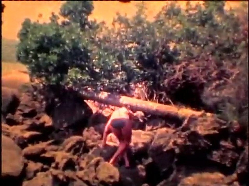 Trindade e Paraty Nov 76