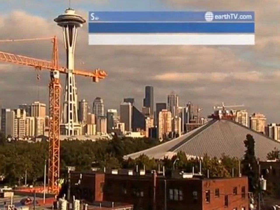 Pine Valley - Beijing - China, Washington - USA, Cannes - France, Berlin - Germany, Muscat - Oman, Seattle - USA, Los Angeles - USA