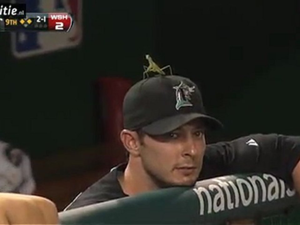 Grasshopper isst im Baseball ..... fast