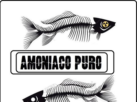 Documental pescadores de la Habana (Amoniaco puro) Extended version