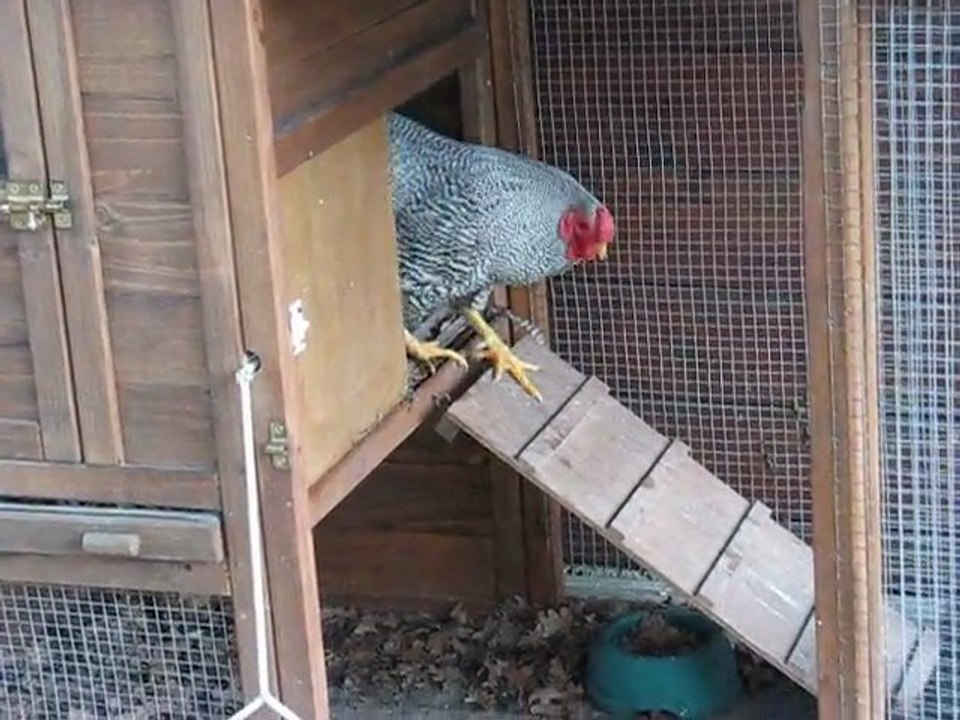 Problème coq