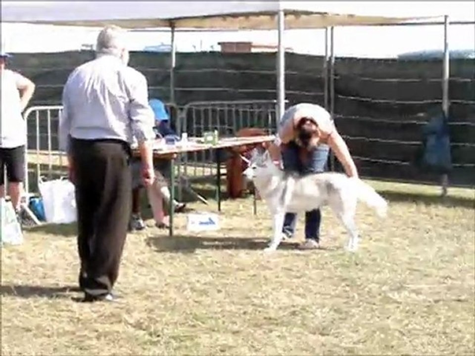 juillet 31, 2011 dieppe