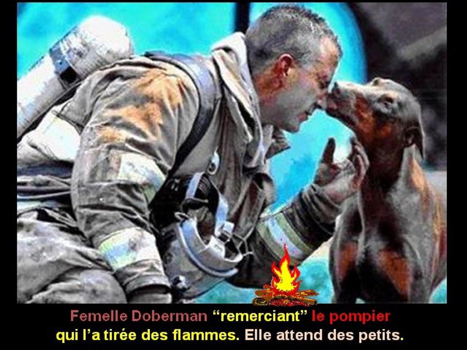 Animaux compatissants..suivons l'exemple-08-02-11-38_wmv