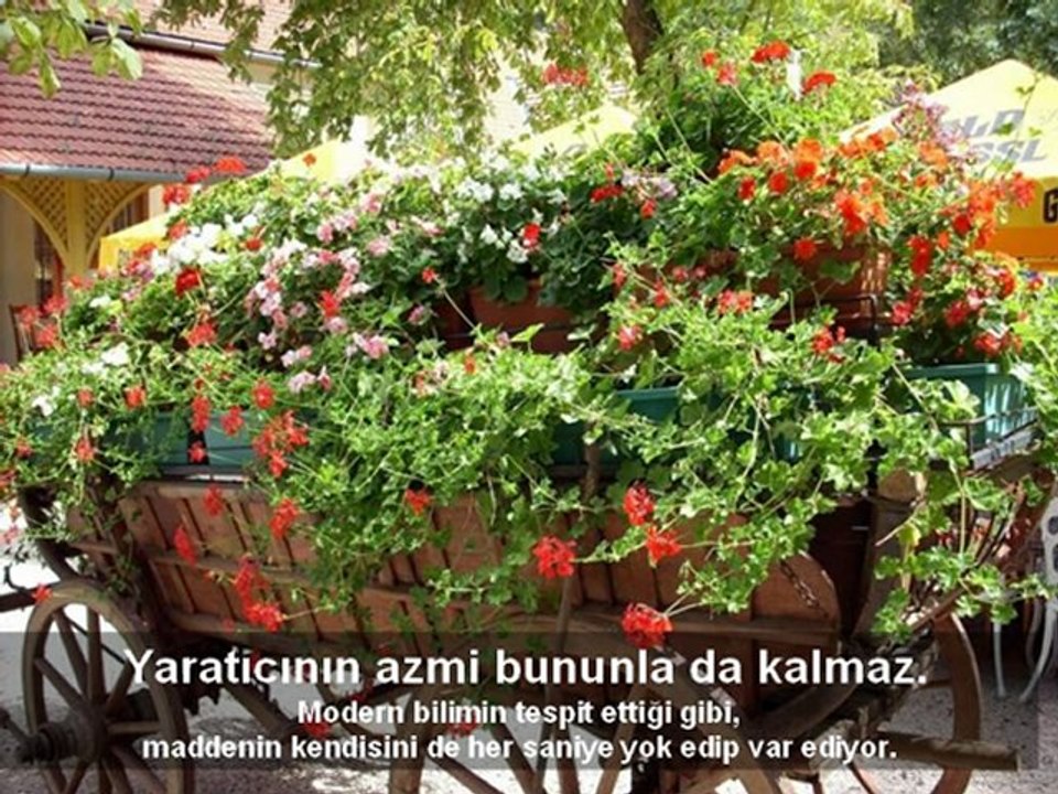 azimtecellisi