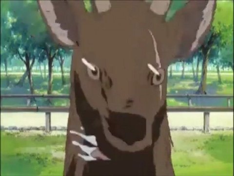 Tsukasa having Deer Issues (Tsukasa Attacked by Deer;Lucky Star; English Dub)
