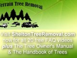 Shelton CT Tree Removal Service - introduction to FAQ videos