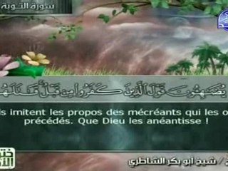 Le Noble Coran(vostfr)  Juz' 10 [Hizb 19-20]
