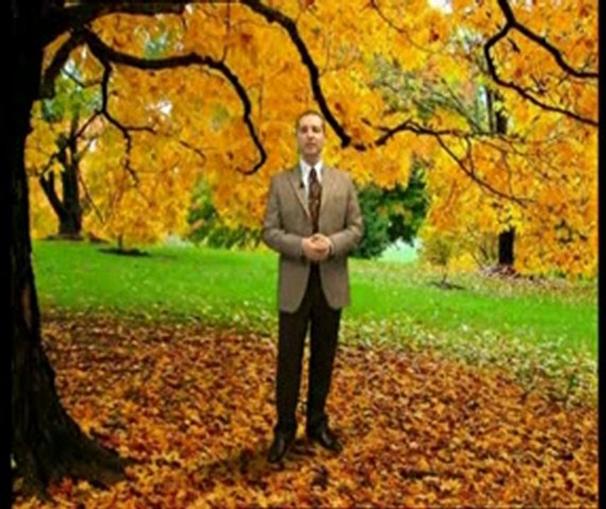 Cennette ses ve konuşmalardaki güzellik