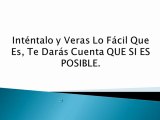 Gana dinero como afiliado, creador de ingresos