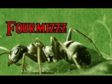 Union des fourmis noires!!! Recrutement