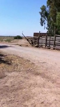 Douar Ouled Sidi Mihoub