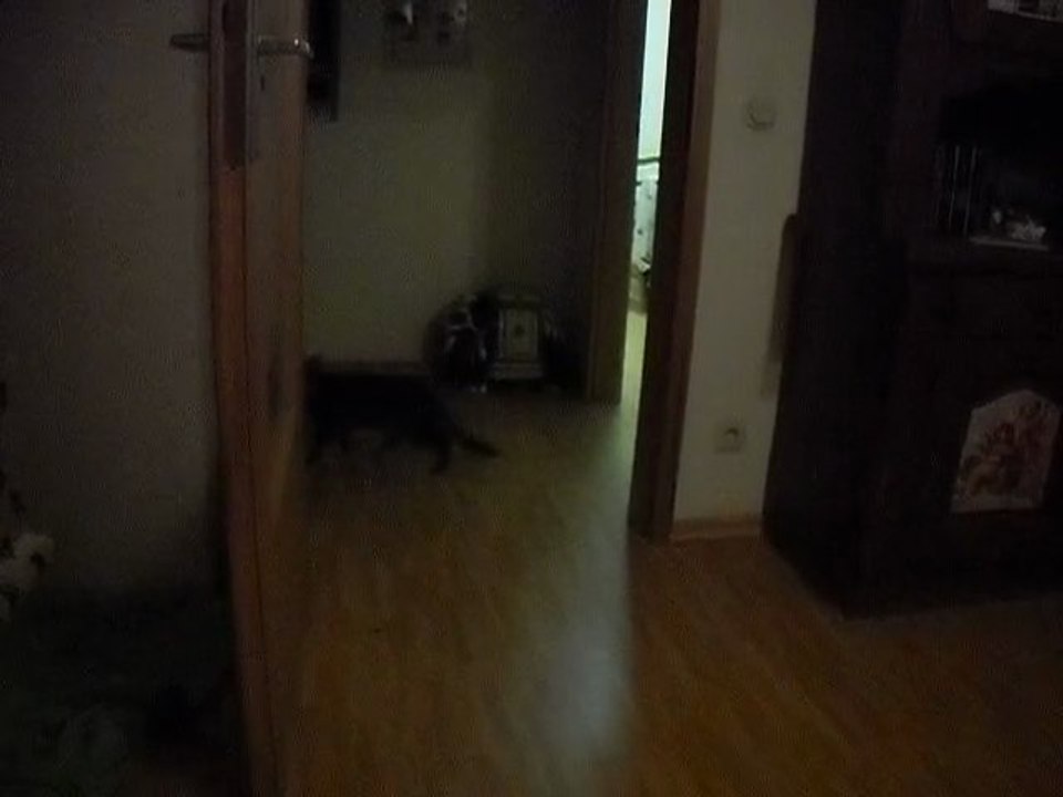 Esther first