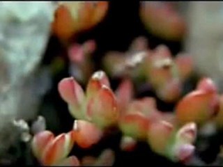 Ramadan moubarek a tous !! OUR WORLD by Zain Bhikha