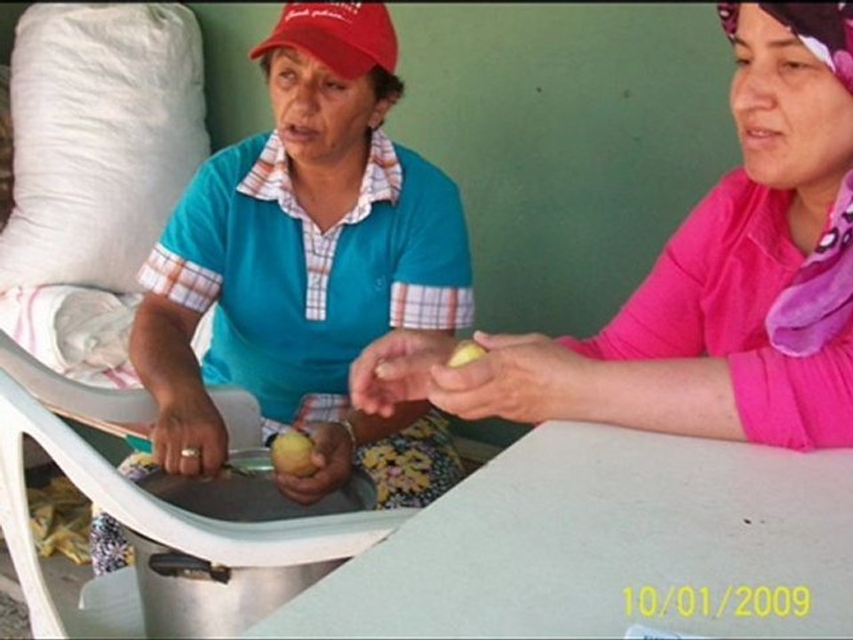 erzurum aşkale ardıç yayla köyü