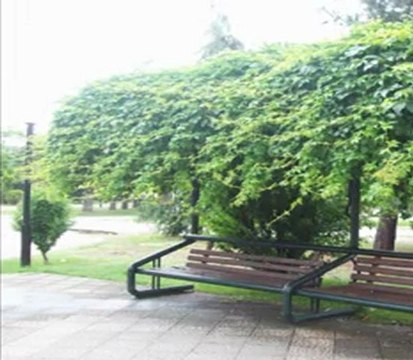 TR samsun 55 sosyetekaradeniz.com