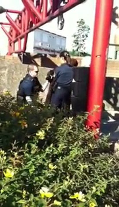 arrestation d'une soeur avec niqab jilbebb