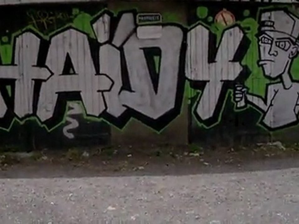 HAIDY graffiti Toulouse 2011