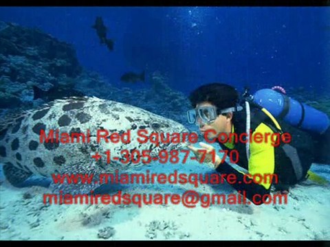 СПОРТИВНЫЕ ШКОЛЫ И СЕКЦИИ В МАЙАМИ.