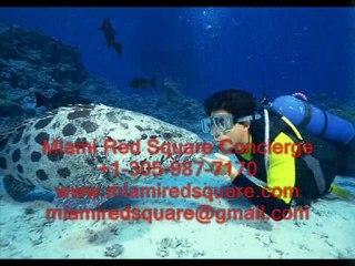 СПОРТИВНЫЕ ШКОЛЫ И СЕКЦИИ В МАЙАМИ.