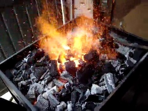 Détrempe cages de roulements 7