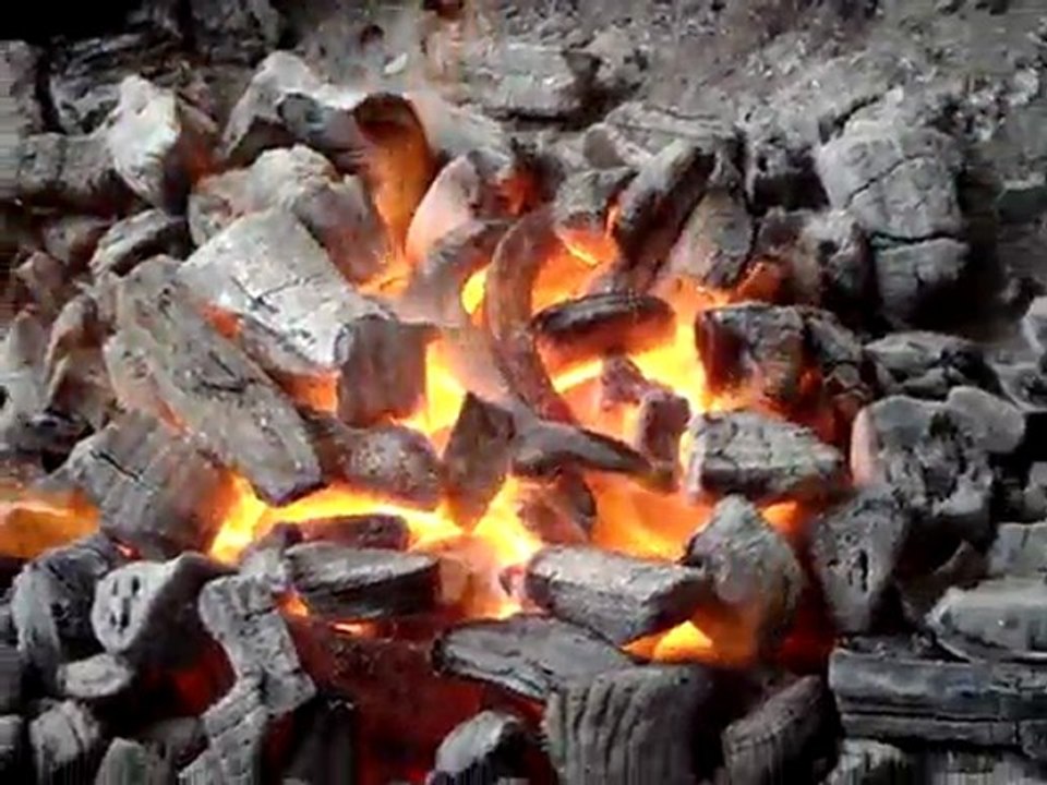 Détrempe cages de roulements 8