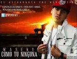 WASEKY Como Tu Ninguna NEW Reggaeton Estreno FULL 2011_(360p)