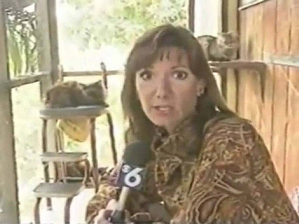 Report - Man Has More Pussycats Than He Can Handle