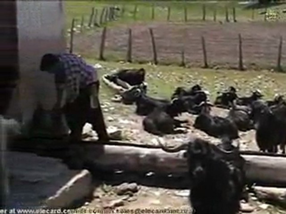 AHMET ŞİŞEK'İN ANISINA-Eyüplü Köyü Kır gezisi-AHMET KAYTANCI