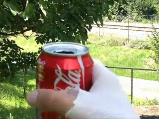 Testeur system - Duke Nukem Forever sur PC