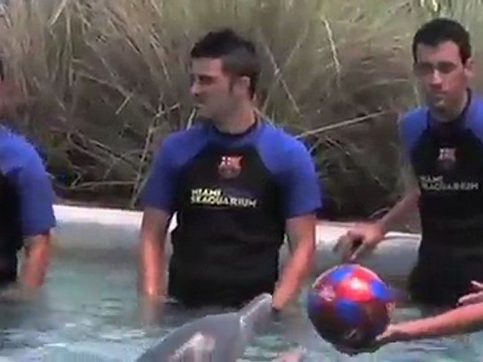 Valdes, Xavi... et les dauphins !