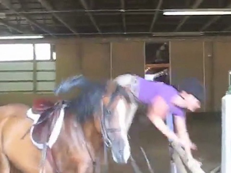 Pferd hat keine Lust Fail