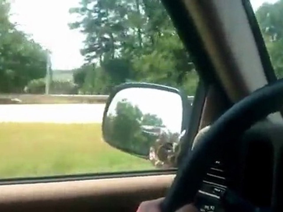 Überraschen Sie auf der Autobahn