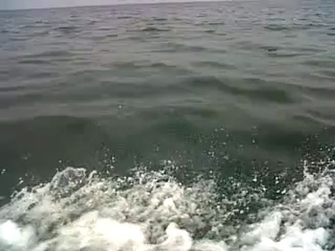 le 2 Août sortie mémorable sur la côte Normande en jet ski avec des dauphins