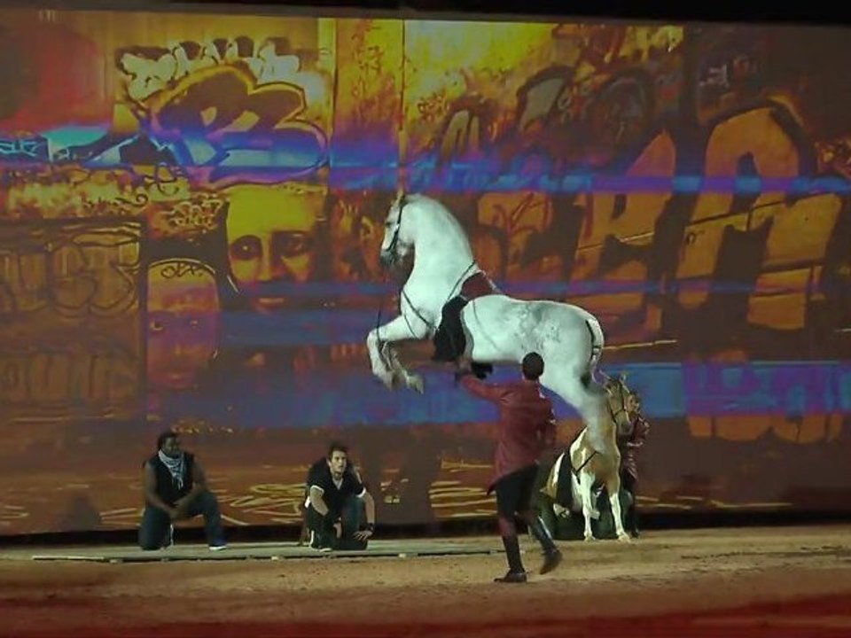 EQUESTRIA 2011