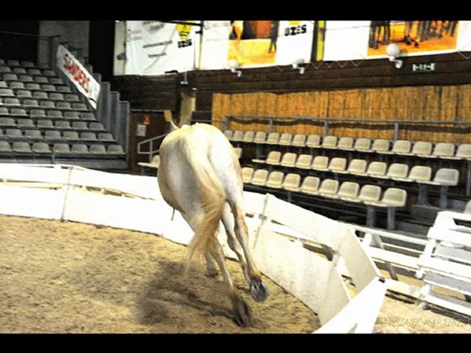 ©HARAS D'UZES LUCIEN GRUSS© MARTINE ANCIAUX© TELEVISION