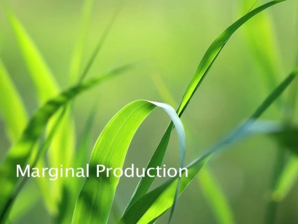 L'été Marginal prod continue.