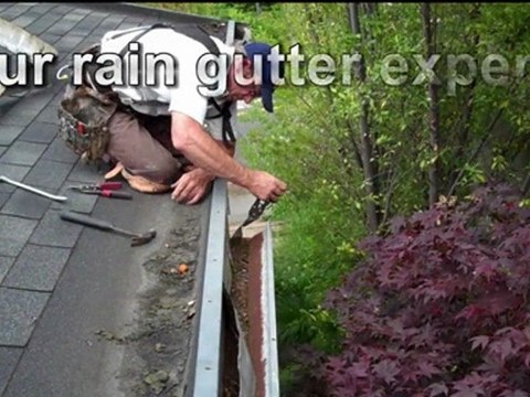 Cleaning Gutters In Berkeley