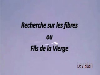 Expériences avec les fibres de fils de la vierge 2 sur 3