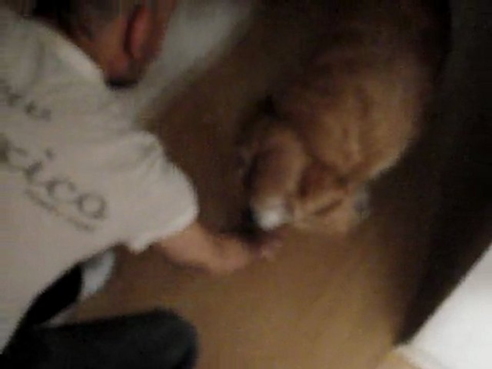 Aktor Kopek Dost-Egitmen Bora Erbek Cekim Limon getirme