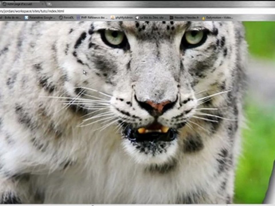 tutoriel :: XHTML et CSS - Partie 2 - Les formats d'image et les divisions